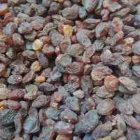 کشمش بیدانه آفتابی تاکستان پاک شده تمیز