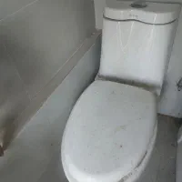 توالت فرنگی