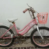 دوچرخه ۲۶ آلومینیومی و ۲۰ آهنی دخترانه|دوچرخه، اسکیت، اسکوتر|بندرعباس, |دیوار