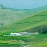 فروش دامداری صنعتی