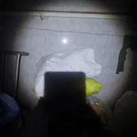 گونی آرد|عمده‌فروشی|مهریز, |دیوار