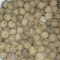 گردو کردستان|خوردنی و آشامیدنی|قدس, شهر‌قدس|دیوار