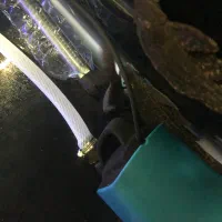 ماهی کت اسپرت و کت خرگوشی معاوضه