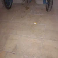 موتور سه چرخ|موتورسیکلت|قم, باسکول|دیوار