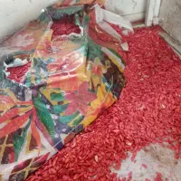 حدودا40کیلوتخم دیمی خربزه برای کاشت کیلو100