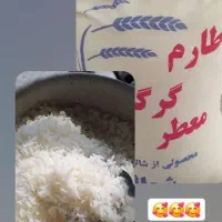 برنج معطر گرگان|خوردنی و آشامیدنی|قم, زنبیل آباد|دیوار