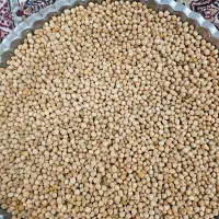 نخوددیمه محلی امسالی دستچین شده مال منطقه خوشاب