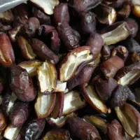 خرما فشرده مضافتی