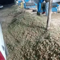 فروش استثناعی پوسته بادام. میش  بره  قوچ  بز  گله|حیوانات مزرعه|نجف‌آباد, حومه نجف آباد|دیوار