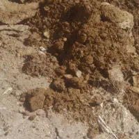 کود حیوانی|لوازم جانبی حیوانات|خاوه, |دیوار