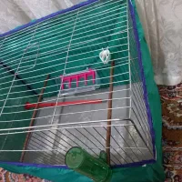 قفس پرنده|لوازم جانبی حیوانات|اهواز, مجاهد|دیوار