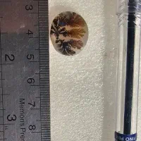 سنگ شجر قائن طبیعی اصل|جواهرات|اصفهان, خانه اصفهان|دیوار