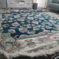 فرش ماشینی|فرش|گلبهار, شهر جدید گلبهار|دیوار