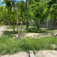 ۳۵۰ متر باغچه سنددار آب برق گاز وصل کاسبی|فروش زمین و ملک کلنگی|شهریار, شهرک شاهد|دیوار