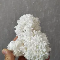 فروش مرجان یا سنگ ارگونیت سوزنی و شکوفه ای