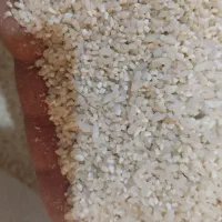 خرده برنج
