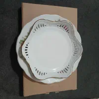 ظروف چینی