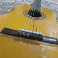 گیتار|گیتار، بیس، امپلیفایر|قوچان, |دیوار