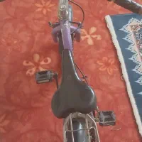 دوچرخه|دوچرخه، اسکیت، اسکوتر|گلبهار, شهر جدید گلبهار|دیوار