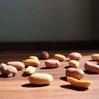 فروش بادام زمینی (و سایر خشکبار) باکیفیت بی‌نظیر|خوردنی و آشامیدنی|شیراز, میرزاکوچک خان|دیوار