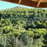 ماهانه چوبی دوبلکس با بهار خواب|اجارهٔ خانه و ویلا|کلاردشت, |دیوار