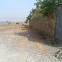 زمین1000متری جاده آسفالته کاهو مجتمع چمن آرا|فروش زمین و ملک کلنگی|گلمکان, |دیوار
