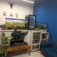 واگذاری کافه تیک اِ وی ملاصدرا