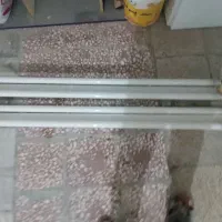 مهتابی دوقلو