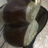 تار|سازهای سنتی|تهران, آرژانتین|دیوار