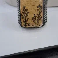 شجر انشگتر