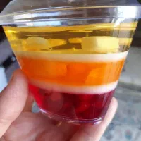 ژله تک نفره وقالبی