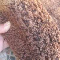 گلیم فرش ۱۲ متری