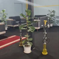واگذاری کافه قلیون