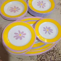سلام ظروف ملامین در حد نو