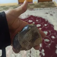 سنگ خام قیمتی|جواهرات|تهران, ایران|دیوار