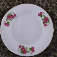 بشقاب چینی|ظروف سرو و پذیرایی|صالح آباد, |دیوار