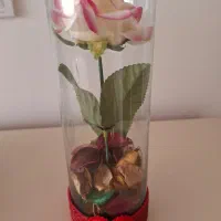 باکس گل|گل مصنوعی|قم, شاه سید علی|دیوار