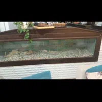 آکواریوم بزرگ دو متری2*55*40شیشه10میل