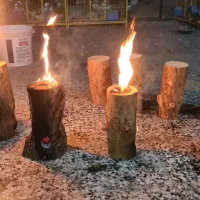 اجاق سویسی چوبی مناسب مجالس و دورهمی