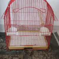 قفس پرنده