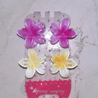 کلیپس پلومریا ۴ سانت صورتی و سفید