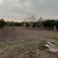 جاده دریا فیروزکنده کوچه مالک اشتر 700مترداخل کوچه