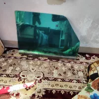 شیشه بقل نیسان