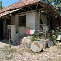 ۵۵۰متر سند تک برگ ۲ دقیقه شهر/رشت به کوچصفهان سنگر|فروش خانه و ویلا|سنگر, |دیوار