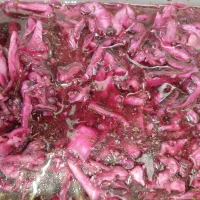 ترشیجات شوری سالاد فصل زیتون آبلیمو آبغوره سرکه|خوردنی و آشامیدنی|سبزوار, همت|دیوار