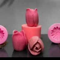 قالب سلیکونی