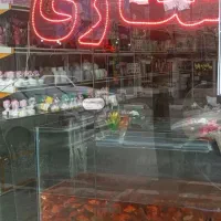مغازه-عطاری-واگذاری