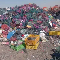 خرید ضایعات سبد