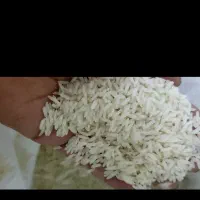 برنج هاشمی