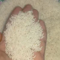 برنج طارم دم سیاه کلاله|خوردنی و آشامیدنی|گنبد کاووس, |دیوار